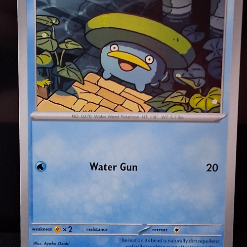 Lotad - 035/159 - Journey Together - Regular - Common - English