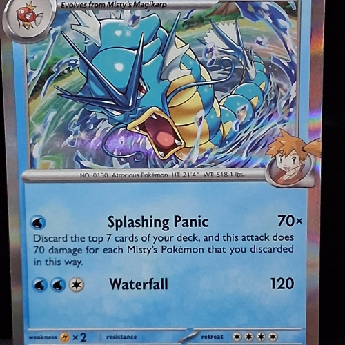 Gyarados - 049/182 - Destined Rivals - Holo - Rare - English