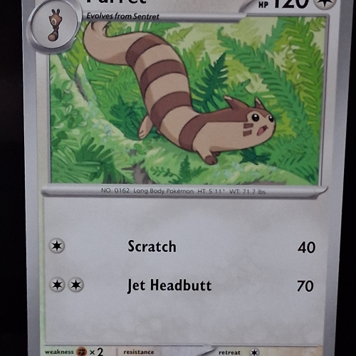 Furret - 119/159 - Journey Together - Regular - Common - English
