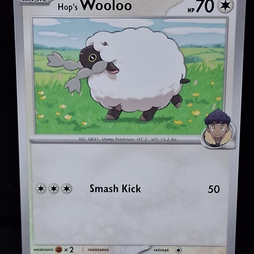 Wooloo - 135/159 - Journey Together - Regular - Common - English