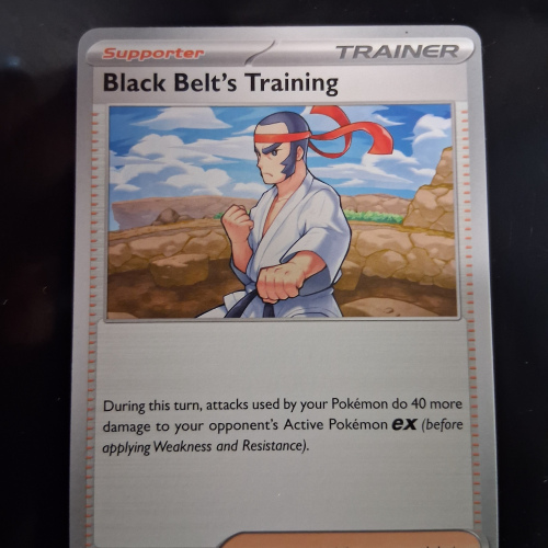 Black Belt's Training - 099/131 - Prismatic Evolutions - Regular - Common - English
