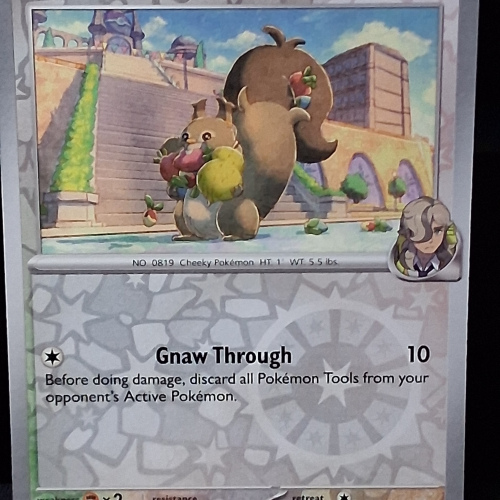 Skwovet - 158/182 - Destined Rivals - Reverse Holo - Common - English