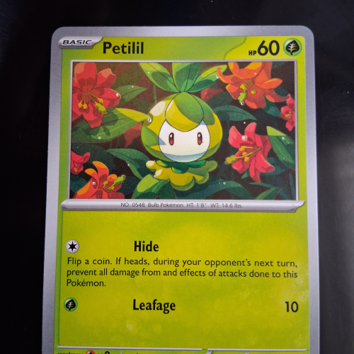 Petilil - 006/086 - Black Bolt - Regular - Common - English