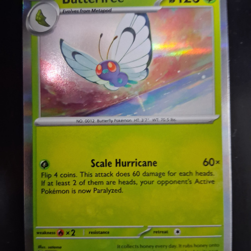 Butterfree - 003/159 - Journey Together - Holo - Holo Rare - English