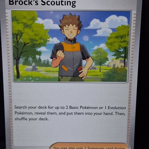 Brock's Scouting - 146/159 - Journey Together - Regular - Uncommon - English