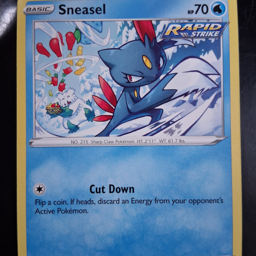 Sneasel - 030/198 - Chilling Reign - Regular - Common - English