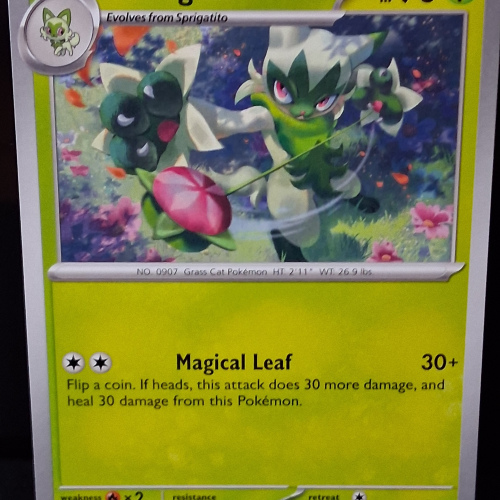 Floragato - 017/159 - Journey Together - Regular - Common - English