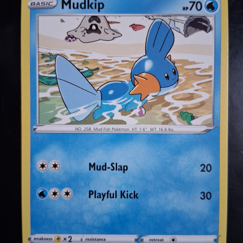 Mudkip - 062/264 - Fusion Strike - Regular - Common - English