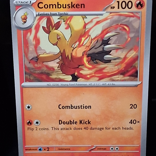 Combusken - 041/182 - Destined Rivals - Regular - Common - English