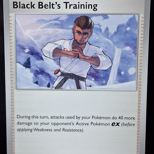 Black Belt's Training - 145/159 - Journey Together - Regular - Common - English