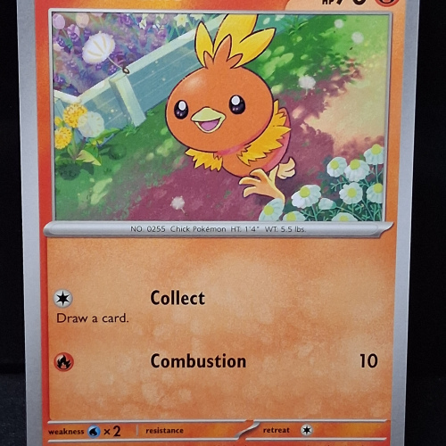 Torchic - 040/182 - Destined Rivals - Regular - Common - English