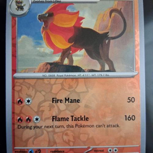Pyroar - 016/131 - Prismatic Evolutions - Reverse Holo - Uncommon - English