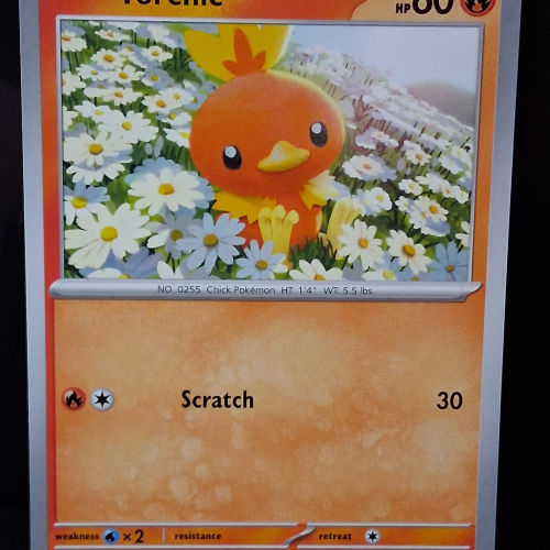 Torchic - 022/159 - Journey Together - Regular - Common - English