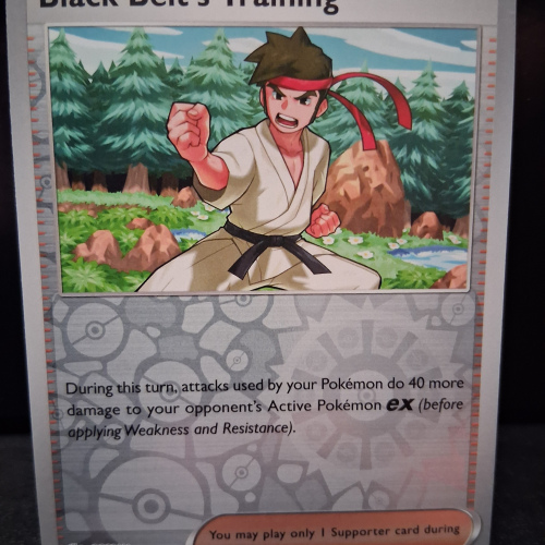 Black Belt's Training - 144/159 - Journey Together - Reverse Holo - Common - English