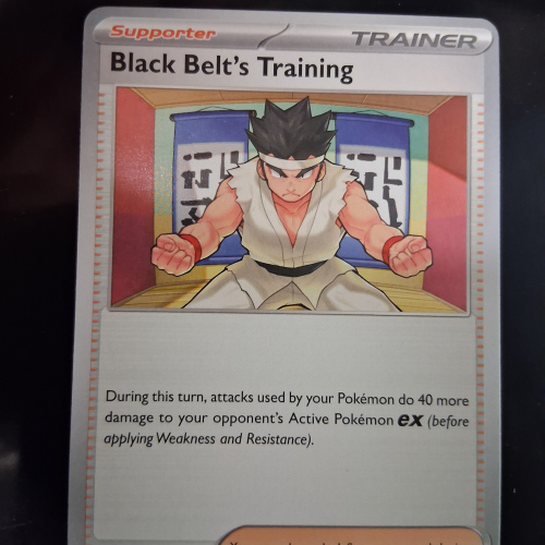 Black Belt's Training - 096/131 - Prismatic Evolutions - Regular - Common - English